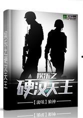 娱乐之硬汉天王txt,TXT中的传奇人生