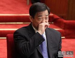 明星政治
