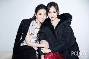 姐妹娱乐圈在线,揭秘明星姐妹花背后的故事与友谊