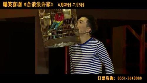 日本搞笑电影 家,日本搞笑电影家的欢乐盛宴