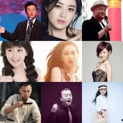 河南娱乐圈,崛起中的中原星光璀璨